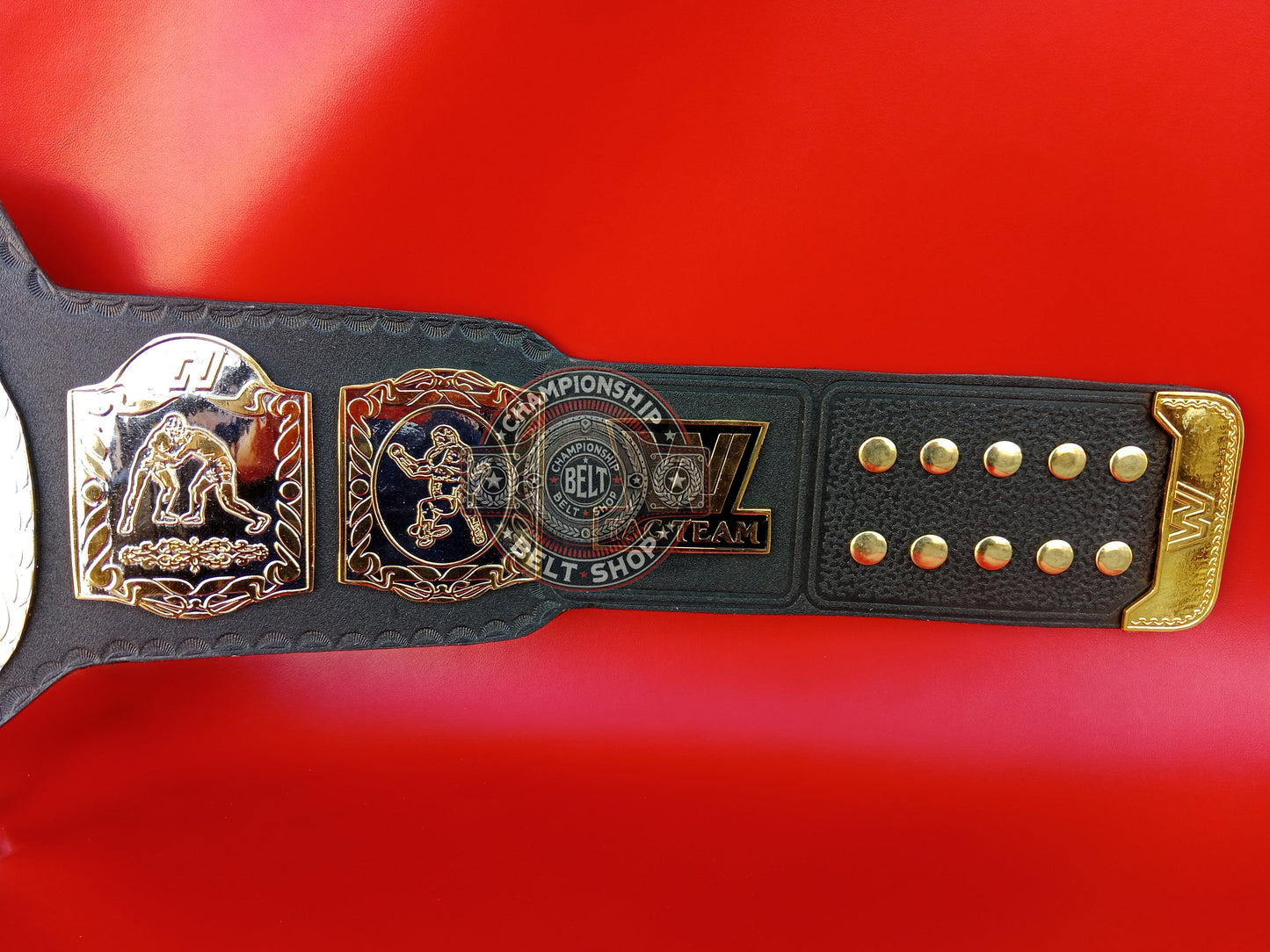 WWE World Class Tag Team Championship Title Belt