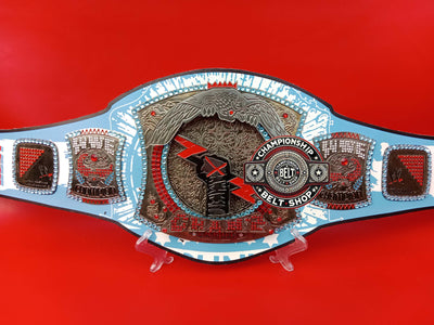CM Punk Spinner WWE Championship Title Belt