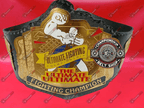 MMA Ultimate Fighting Championship Title Belt