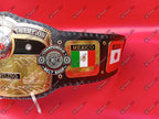 NWA Dome Globe World Heavyweight Championship Title Belt