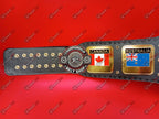 NWA Dome Globe World Heavyweight Championship Title Belt