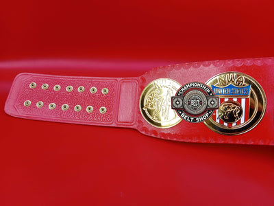 NWA United States World Tag Team Championship Title Belt