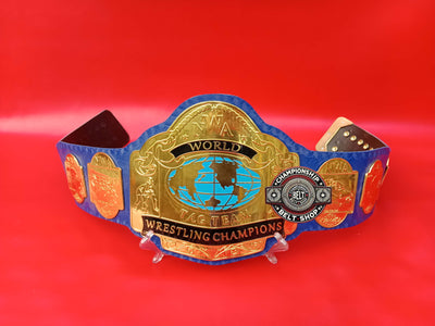 NWA World Tag Team Championship Title Belt