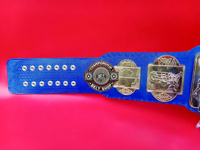 NWA World Tag Team Championship Title Belt