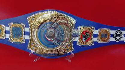 WWE John Cena Farewell Tour 2025 Los Angeles Spinner Championship Title Belt