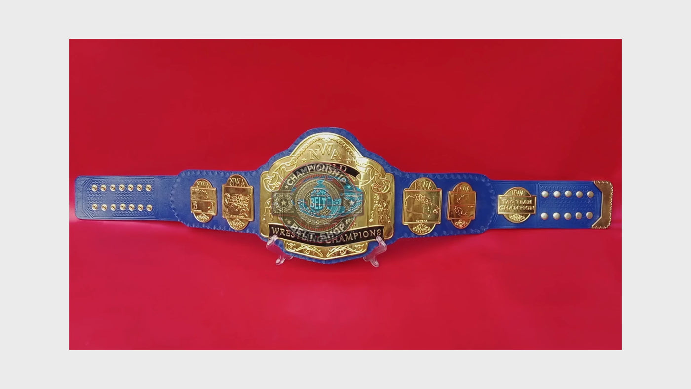 NWA World Tag Team Championship Title Belt