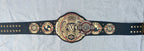 ROH Heavyweight Championship Title Belt