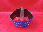 WWE Chicago Cubs Mini Kids Title Belt