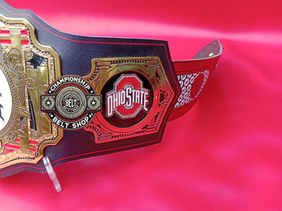 WWE Ohio State Championship Title Belt