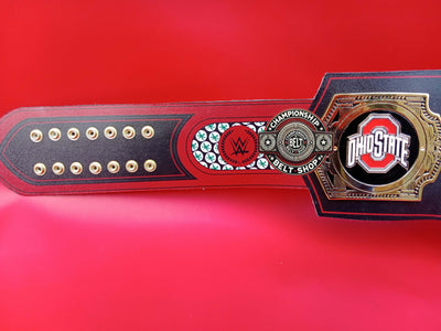 WWE Ohio State Championship Title Belt