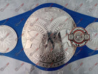WWE Smackdown Blue Strap Championship Title Belt